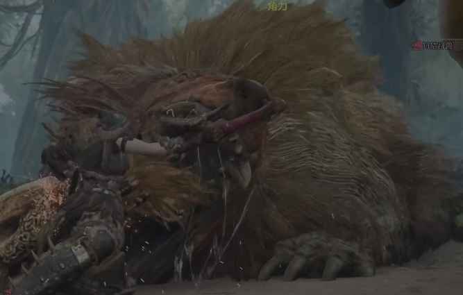 怪物猎人荒野辟兽掉落物获取全攻略