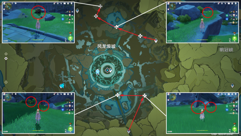 原神风车菊采集全攻略：最佳路线与分布图解析