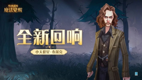 哈利波特魔法觉醒小天狼星布莱克回响深度体验：连接增益，团队协作新利器