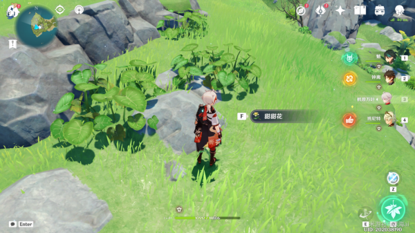 原神2.8版本幻境海螺全位置攻略