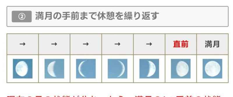 怪物猎人荒野珠子刷法全解析：从准备到满月采集的详细攻略