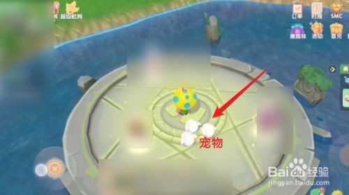 摩尔庄园手游法师宠物推荐：草莓蜂、哒哒鸟、蓝光战士怎么选？