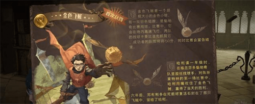 哈利波特魔法觉醒魁地奇技巧分享：如何精准射门与获取高分