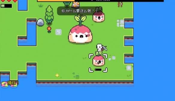 《浮岛冒险》甜菜精岛：打怪、种田、赚零花钱的休闲之地