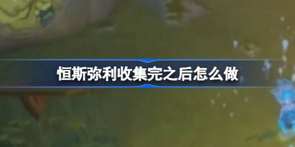 恒斯弥利收集任务后续步骤详解