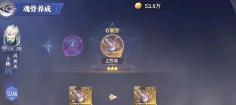 斗罗大陆魂师对决专属魂骨升星全攻略