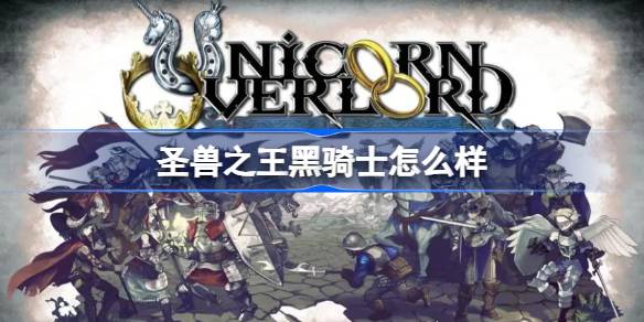 圣兽之王黑骑士职业深度解析与全面评测