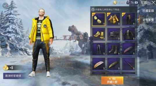 和平精英酷潮明星套装金币花费深度解析