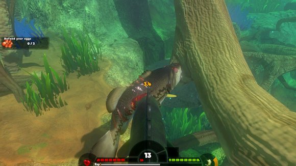 《海底大猎杀》生存模式全面攻略:新手必看生存技巧与鱼类详细指南