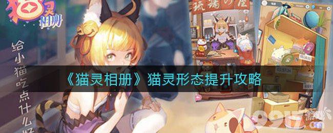 《猫灵相册》猫灵形态提升全攻略：碎片收集与升星技巧详解