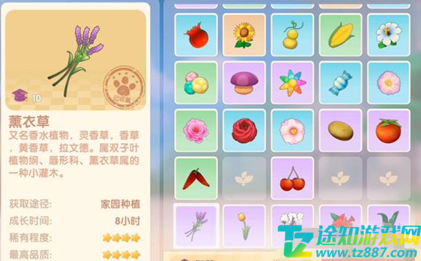 摩尔庄园手游薰衣草郁金香的作用解析