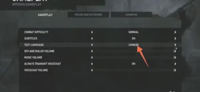 古墓丽影9中文开启指南：简单几步搞定语言设置