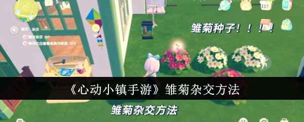 心动小镇手游雏菊杂交全攻略：从基础到进阶的完整指南