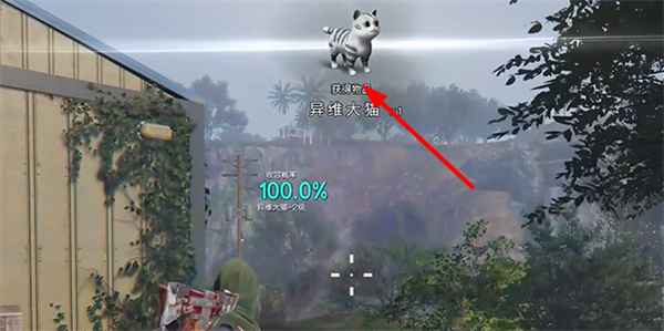 七日世界如何捕捉异维大猫：详细获取指南