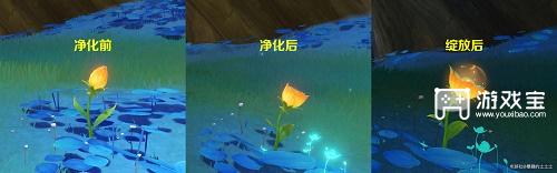 原神净化净觉花隐藏任务全攻略