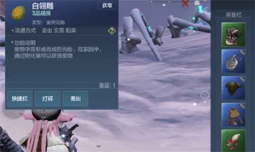 妄想山海白翎雕进化全攻略：从蛋源获取到孵化技巧详解