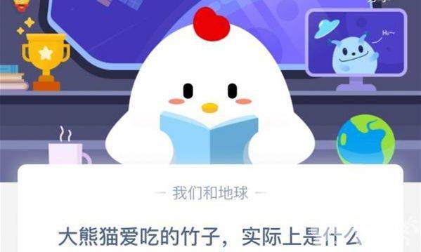 大熊猫爱吃的竹子,真的是草而非树:植物学揭秘