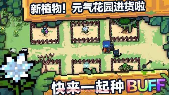 元气骑士前传种植时机全解析：通关次数决定成熟，浇水影响挂果