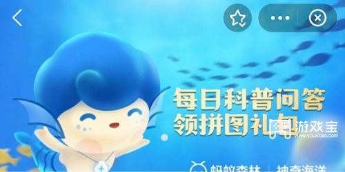 座头鲸的歌声里藏着什么秘密