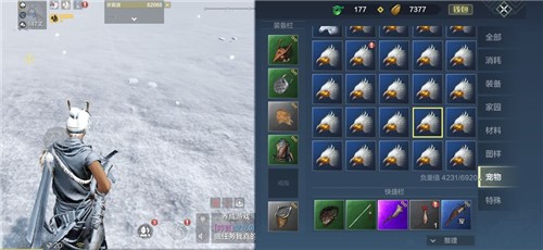 妄想山海荒鹫与赤翎雕的强度对比：哪个更适合你？