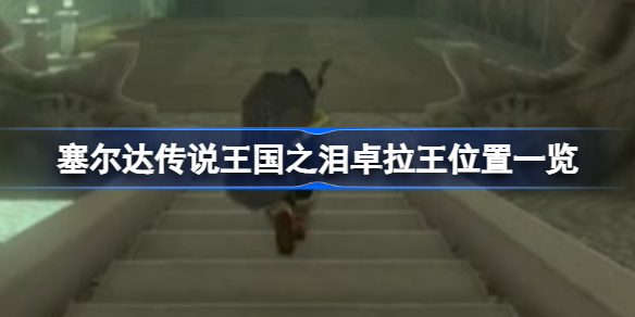 塞尔达传说王国之泪：卓拉王位置全解析与寻找攻略