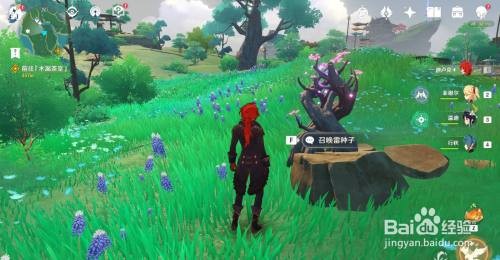 原神白狐之野雷神瞳获取全攻略