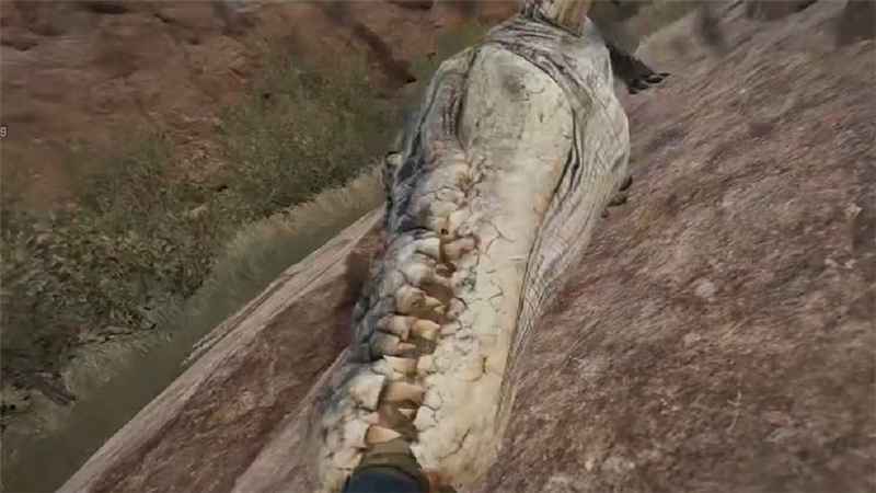 为什么三角洲行动会有鳄鱼