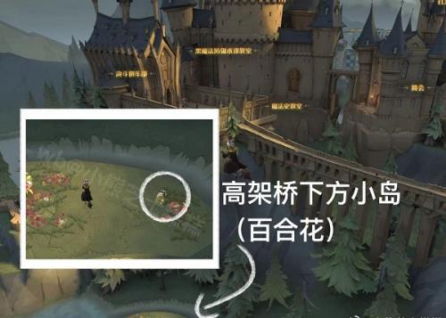 哈利波特魔法觉醒0414彩蛋寻找指南：高架桥下的百合花奖励