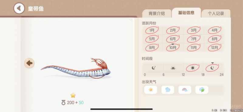 心动小镇海鱼钓点全攻略
