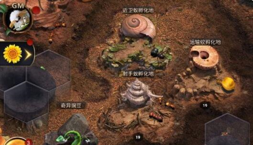 培养小小蚁国兵蚁的详细方法与技巧