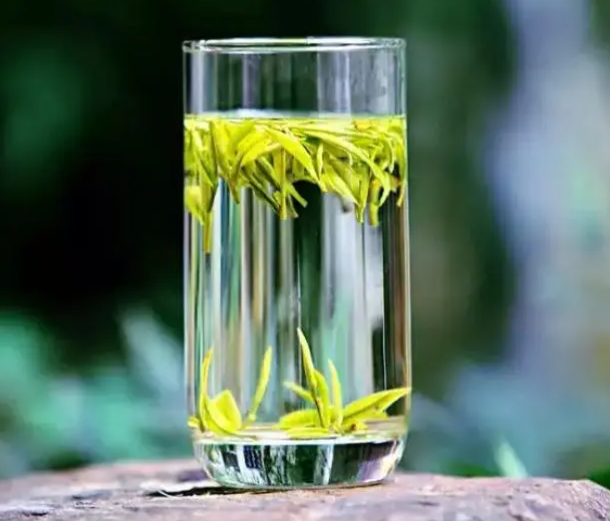 安吉白茶：名字“白”却属绿茶，产地、特点与误区全解析