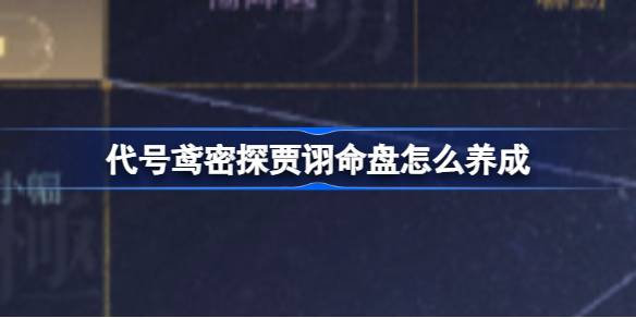 代号鸢：贾诩命盘养成全攻略——掌握核心配置，发挥巨大团战作用