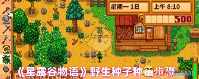 星露谷物语种植野生种子全攻略