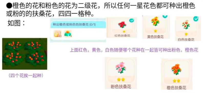 心动小镇扶桑花种植全攻略