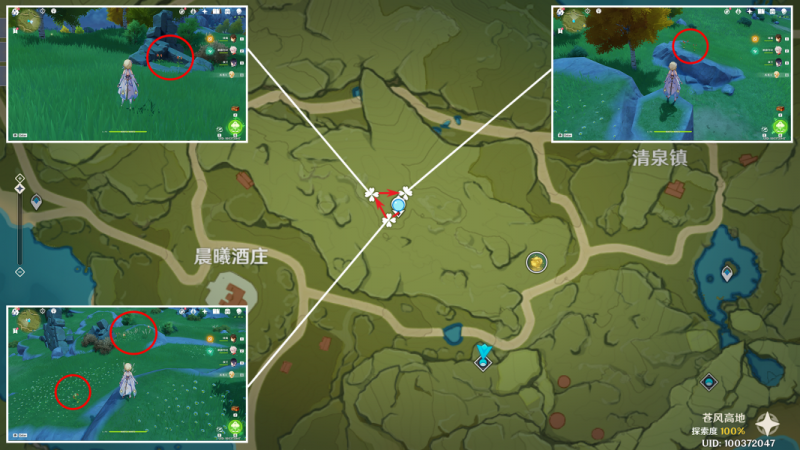 原神风车菊采集全攻略：最佳路线与分布图解析