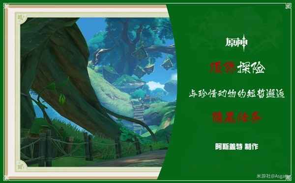 与珍惜之鸟的短暂邂逅任务攻略