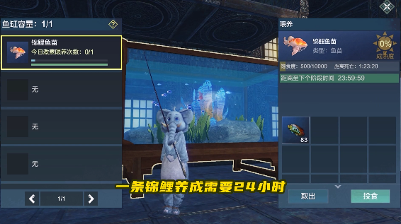 妄想山海锦鲤坐骑的获取方式