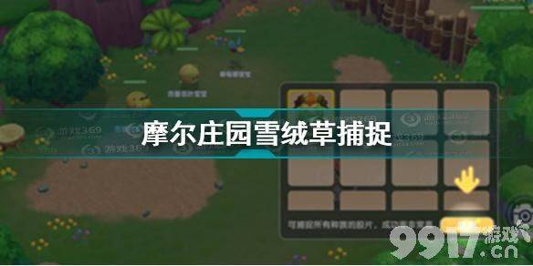 摩尔庄园雪绒草捕捉攻略：地点、等级与捕捉技巧详解