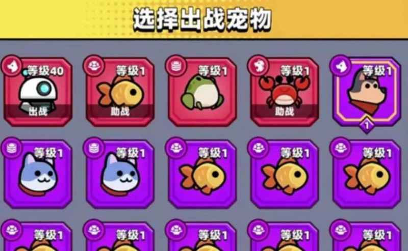 如何选择宠物以获得最佳战斗体验