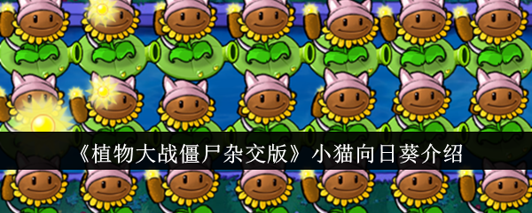 《植物大战僵尸杂交版》小猫向日葵全面评测：功能、玩法与优缺点分析