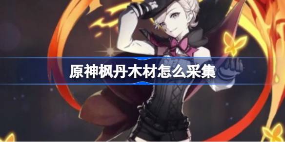 原神枫丹木材采集全攻略：高效路线与技巧分享