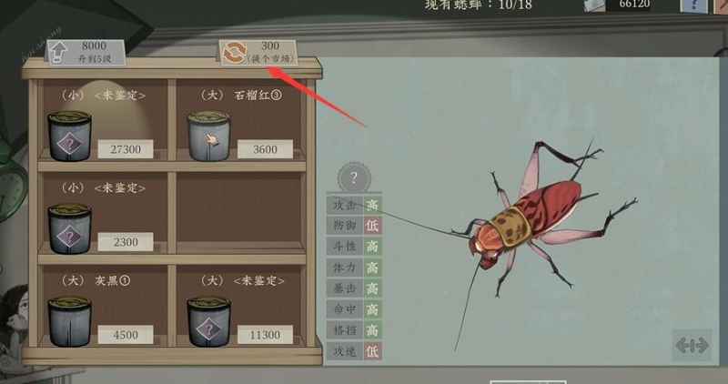 培养沉默的蟋蟀八败的方法与技巧