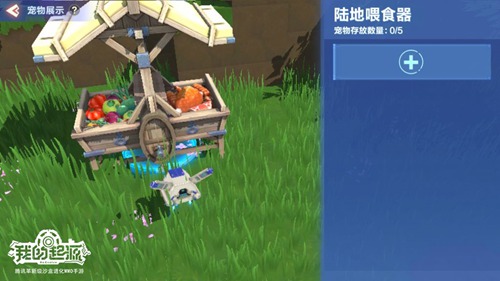 我的起源宠物派遣奖励：好礼获取与趣味玩法全解析