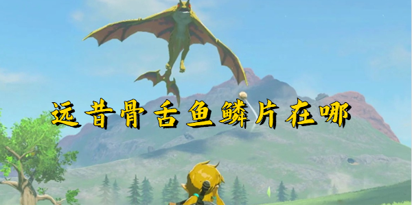 塞尔达传说王国之泪:新手玩家的骨舌鱼鳞片位置攻略