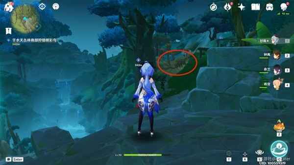 与珍惜之鸟的短暂邂逅任务攻略