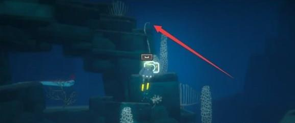 《潜水员戴夫》羽状珊瑚与莲状珊瑚位置攻略：鲛人岛洞穴寻宝指南