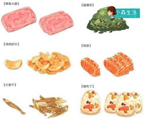 小森生活猫咪养成记：喂饭技巧与养猫心得