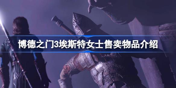 博德之门3埃斯特女士宝藏清单：精选物品与实用推荐