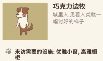 巧克力边牧来访攻略：打造高级食府，解锁它的心门