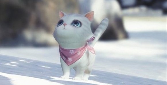 天涯明月刀手游猫猫性别转换全解析